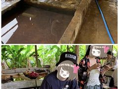 -大象粑粑造纸公园