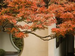 -虎跑公园