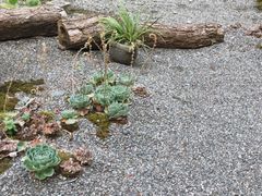 -乐领拈花溪·林涧食韵