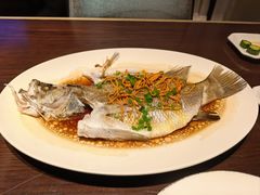 -东岭皇冠假日酒店-彩丰楼中餐厅