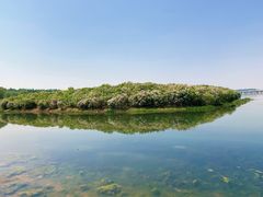 -丁香湖公园