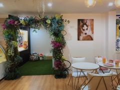 -Husky Go! 哈士奇体验馆·宠物咖啡厅狗咖