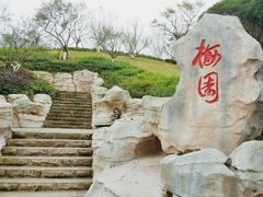 -重庆彩云湖湿地公园