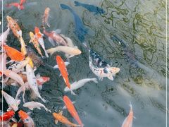 -三里河公园