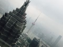 -上海柏悦酒店
