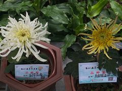 -广州文化公园