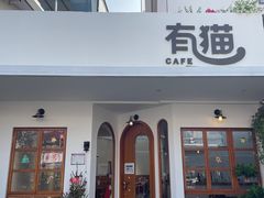 -有猫主题·治愈系猫咖(曾厝垵店)