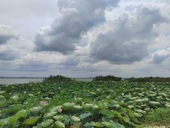 -七的湖·晚芳亭·阳澄湖农家菜·大闸蟹(莲花岛店)