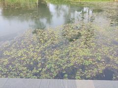 -白塘生态植物园