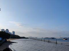 -大湾区中央湿地公园