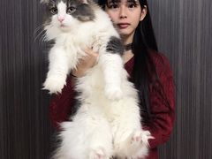 -美迦爱-牙专科·兔科·骨科诊疗中心(北苑店)