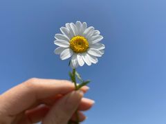 -漩门湾国家湿地公园