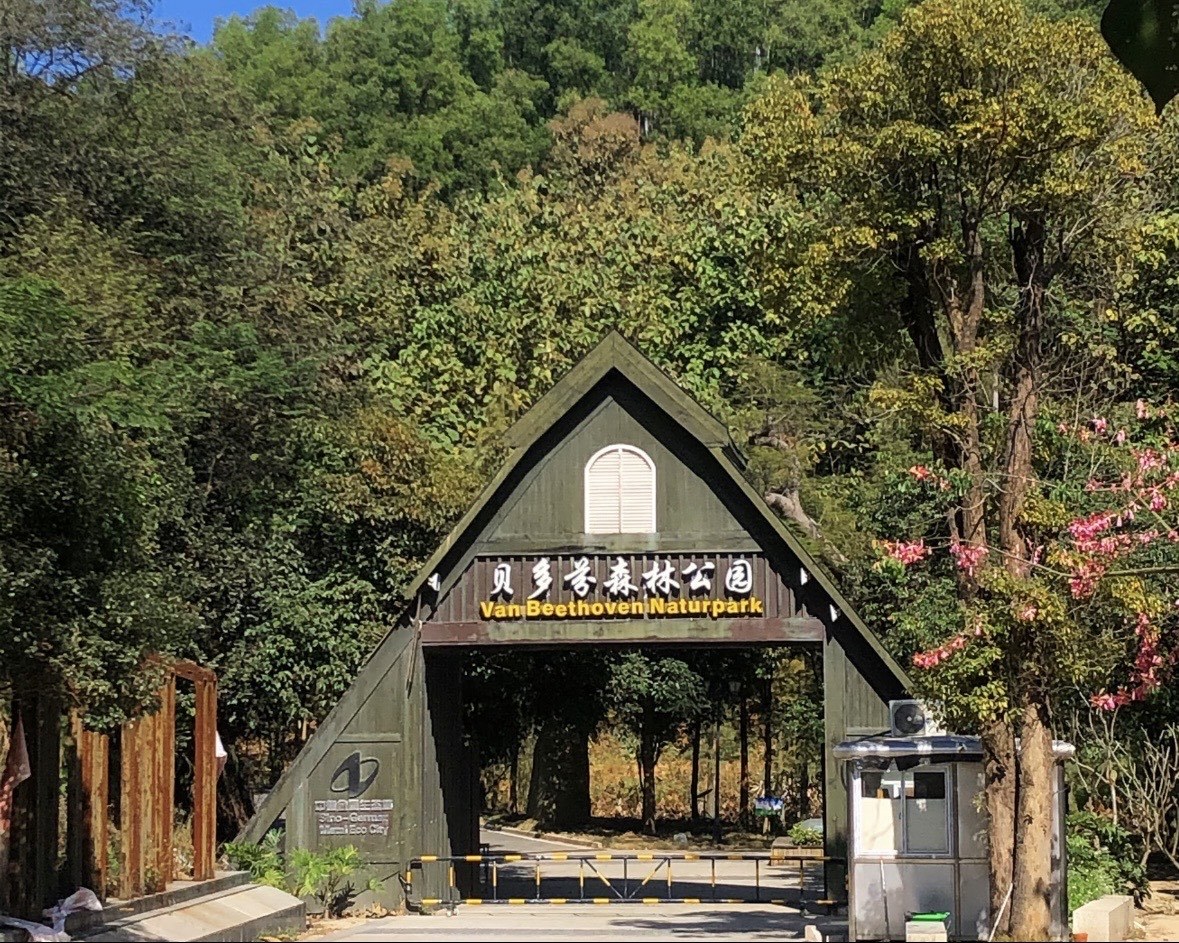 广东周边游⛲️揭阳贝多芬森林公园