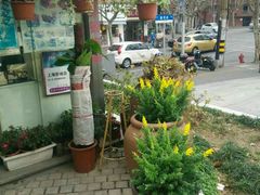 -花草间花行(法华镇路店)
