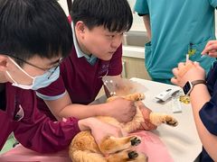 -北京观赏动物医院·24小时大型综合·猫专科·异宠专科