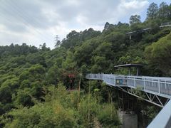 -仙岳公园