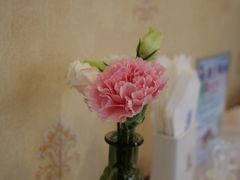 -新侨三宝乐西餐厅(崇文门店)