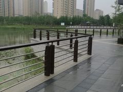 -昆山城市生态森林公园