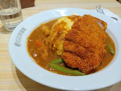 -COCO壱番屋(北京平安国际金融中心店)