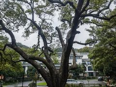 -三台山庄中餐厅