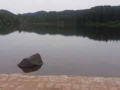 -五营红松林海景区