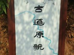 -羚羊峡古栈道森林公园