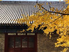 -晋祠公园