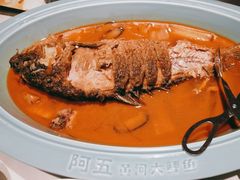 -阿五黄河大鲤鱼(英协路店)