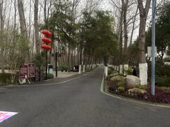 -合肥滨湖国家森林公园