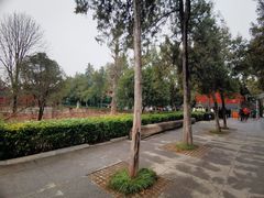 -洛阳白马寺