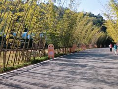 -婺源月亮湾