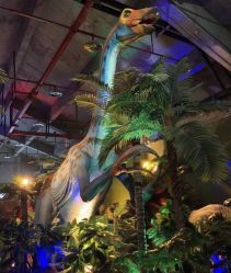 -恐龙探索乐园(磁器口店)