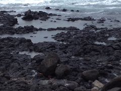 -龙头岩(Dragon Head Rock)