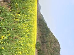 花溪十里河滩湿地公园-贵阳市花溪国家城市湿地公园