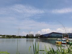 -上海长兴岛郊野公园