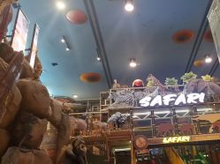 -卡通尼·Safari非洲探索乐园·生日会(金桥国际商业广场店)