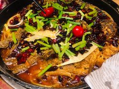 -老板恋上鱼(印象城店)