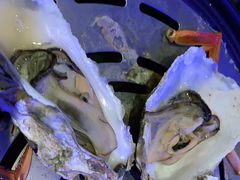 -半岛听涛蒸汽海鲜自助(K11店)