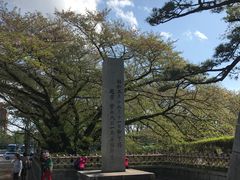-名古屋城
