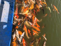 -北戴河圣蓝海洋公园