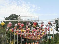 -光明农场大观园