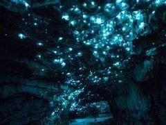 -怀托摩萤火虫洞