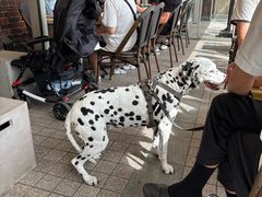 -横滨红砖仓库1号馆