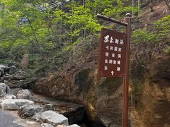 -十渡东湖港风景区