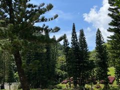 -深圳仙湖植物园