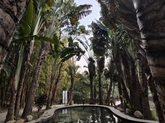 -罗浮山嘉宝田森林温泉度假酒店