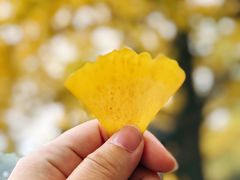 -苏州市立医院本部母子保健中心