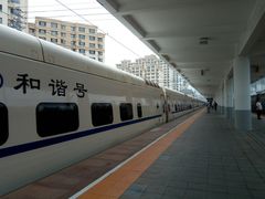 -金州站