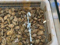 -和源祥·日照菜扛把子(万平口一店)