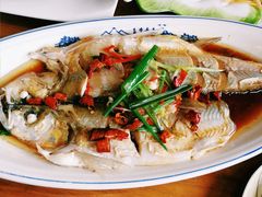 清蒸白水鱼-印象江南(东栅店)
